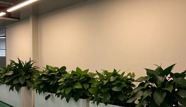 系统实施中理解偏差的防范与应对建议